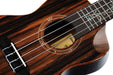 Elite Series Concert Ukulele - Solid Natural Ebony Acoustic with Gig Bag - Elite Series Ukulele