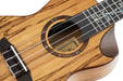 Elite Series Concert Ukulele - Natural Spalted Maple with Gig Bag - Elite Series Ukulele