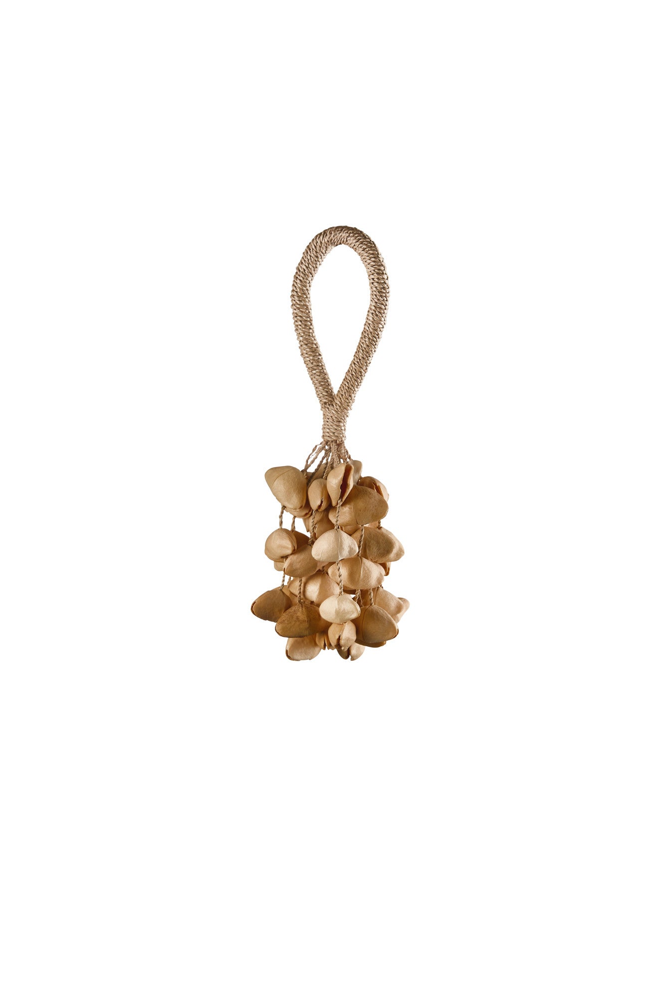 Kenari seed hand shaker